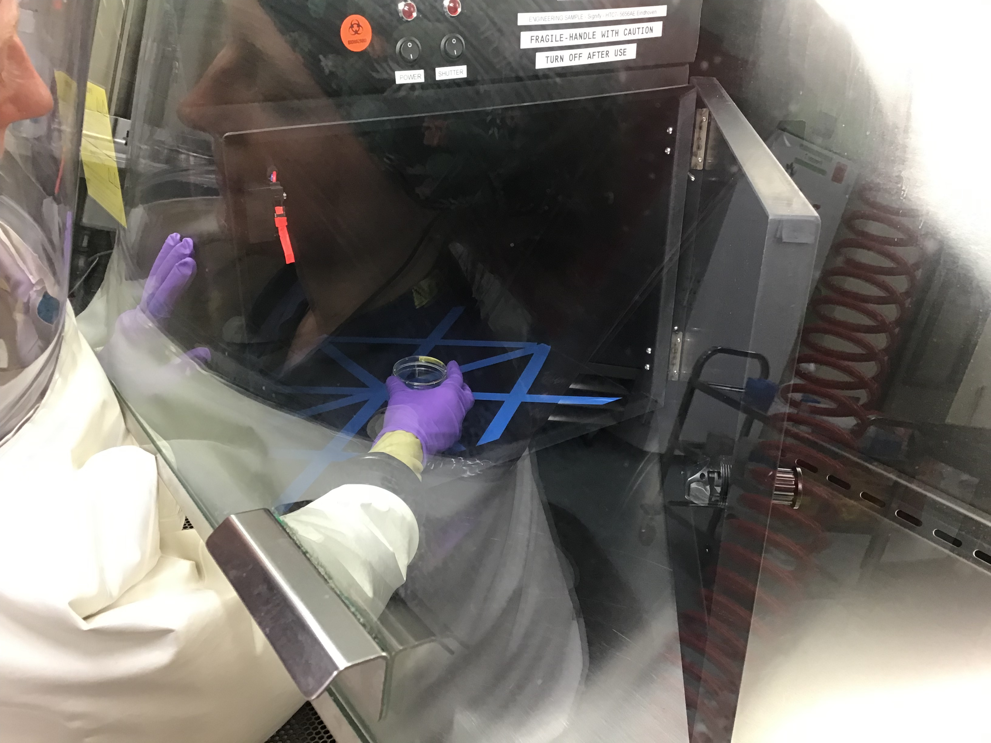 【新闻图片】昕诺飞联合波士顿大学证实其UV-C紫外线光源可有效抑制新型冠状病毒02.jpg