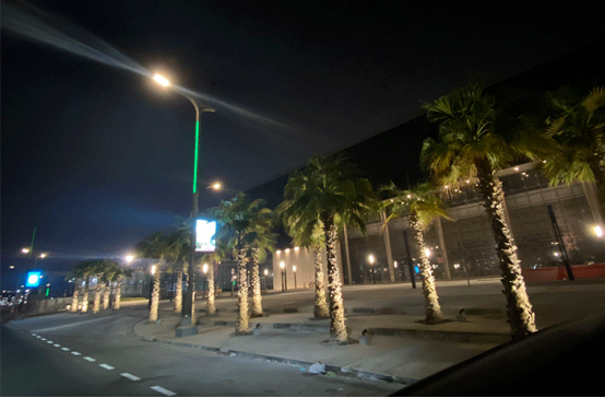 20221123_165613_004.jpg
