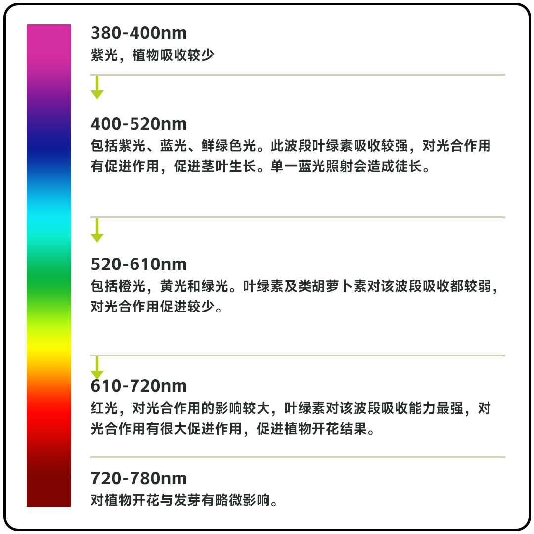 光谱.jpg