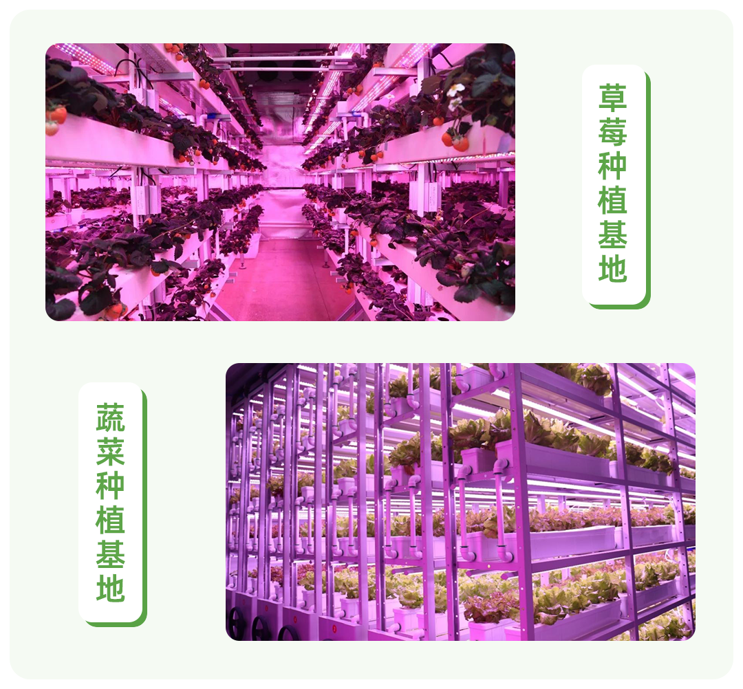 基地1.png