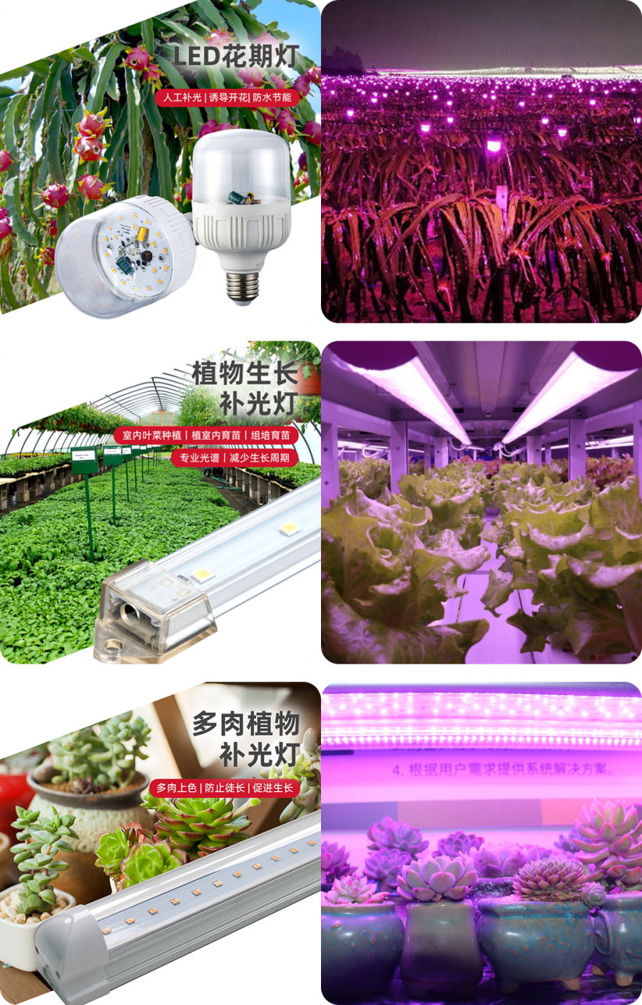 640 (7)_看图王.jpg