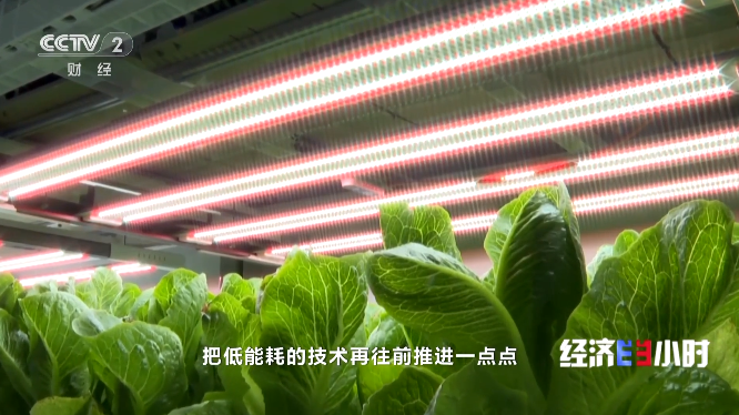 公众号1.png