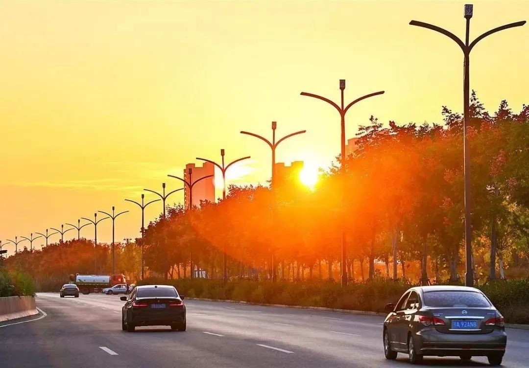 1697613667509025.jpg 1.jpg