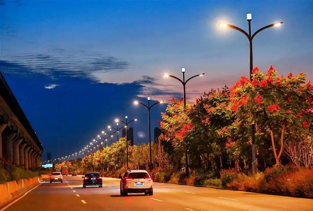 1697613679987630.jpg 2.jpg