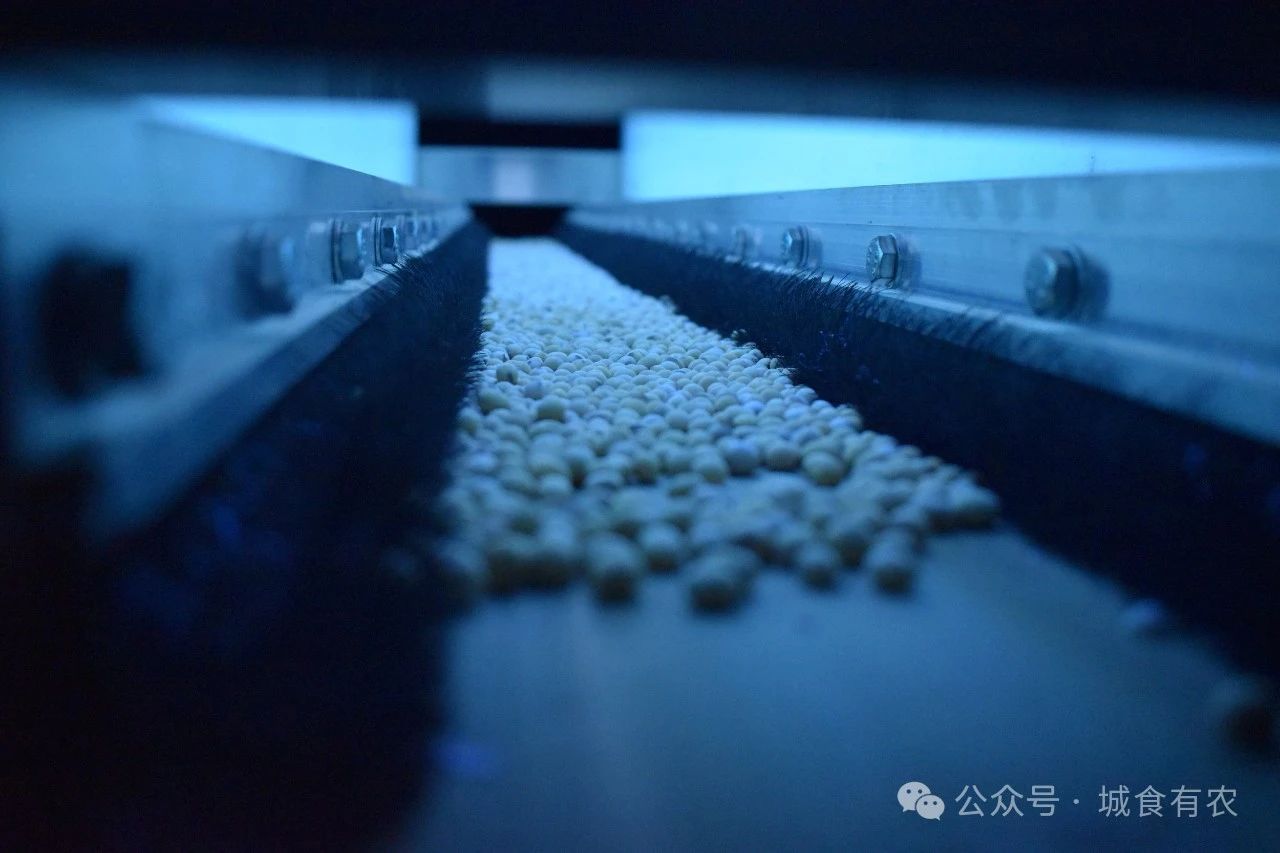 微信图片_20250219150511.jpg
