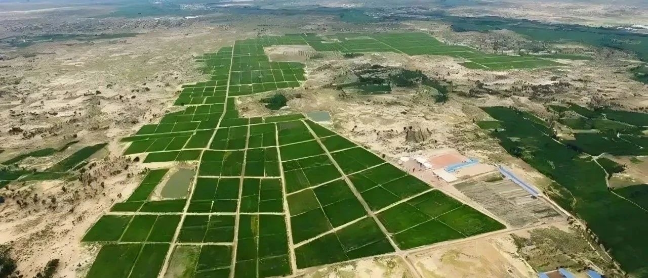 1756792822831695.jpg 微信图片_20250902135747.jpg