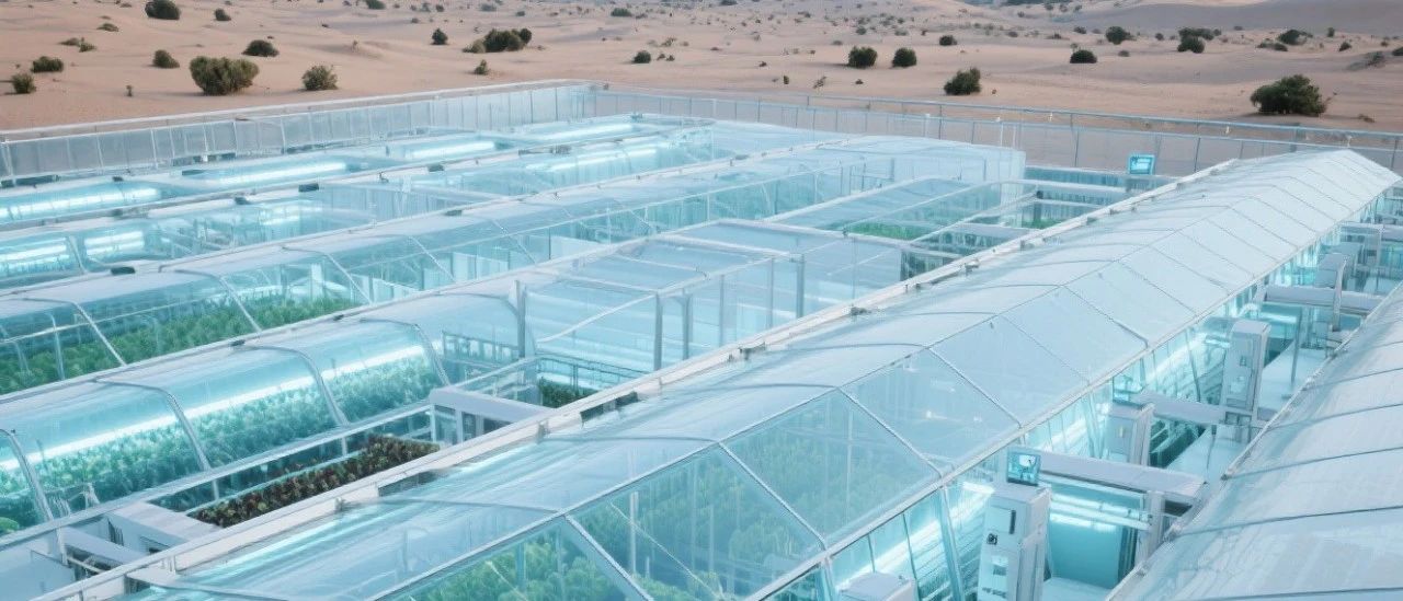 1756792837201575.jpg 微信图片_20250902135758.jpg