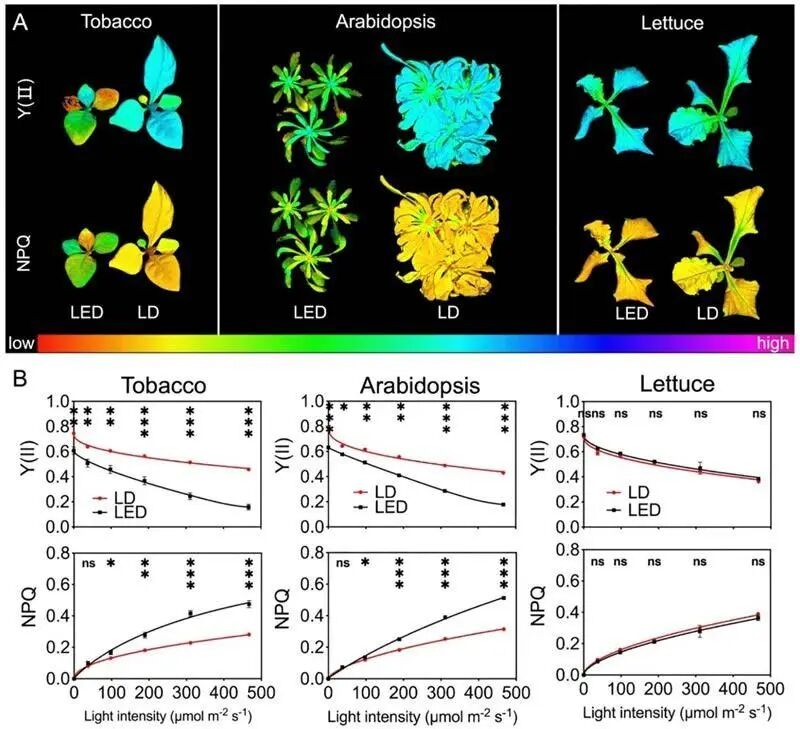 1759992294619999.jpg 微信图片_20251009144212.jpg