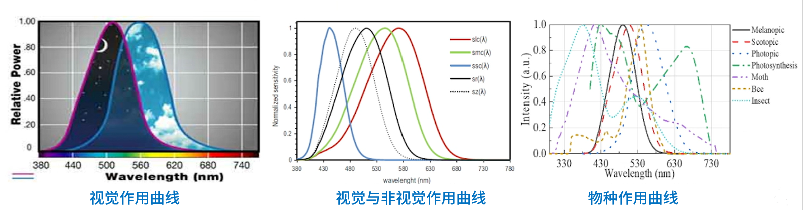 微信图片_20260202141834.png