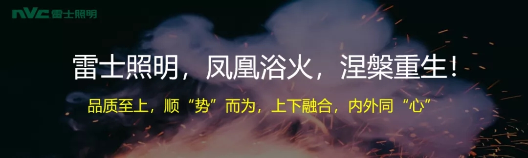 雷士林10.webp.jpg