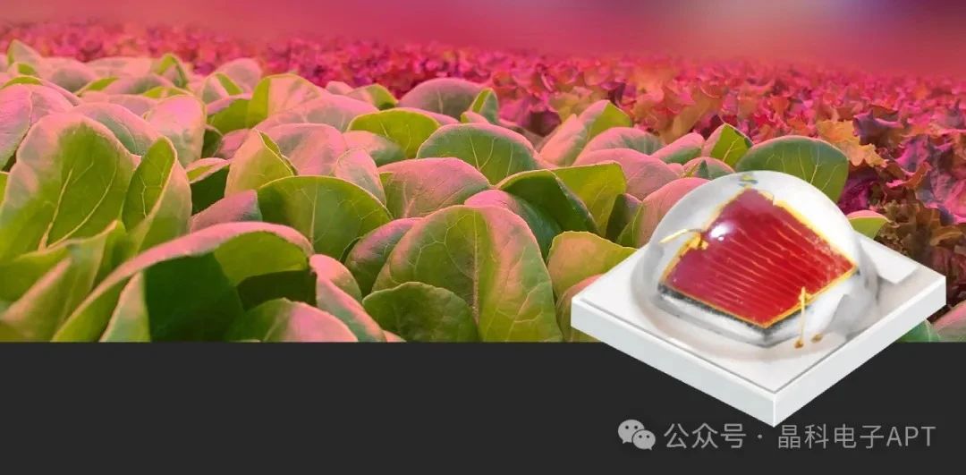 1719211529567287.jpg 微信图片_20240624143418.jpg