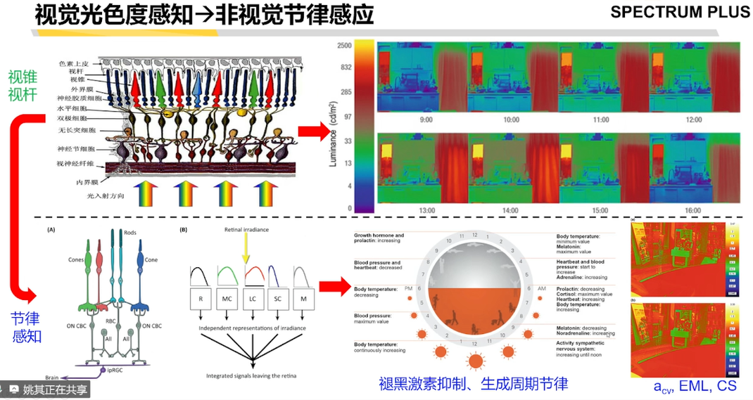 微信图片_20260202141907.png