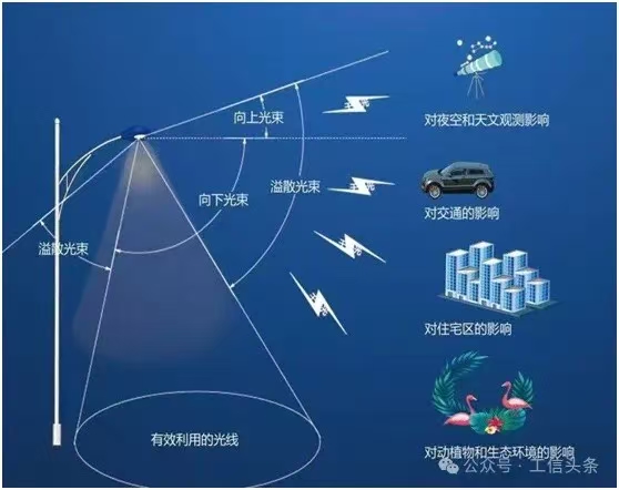 微信图片_20251016093942.jpg
