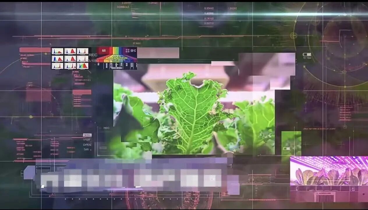 微信图片_20260120151513.jpg