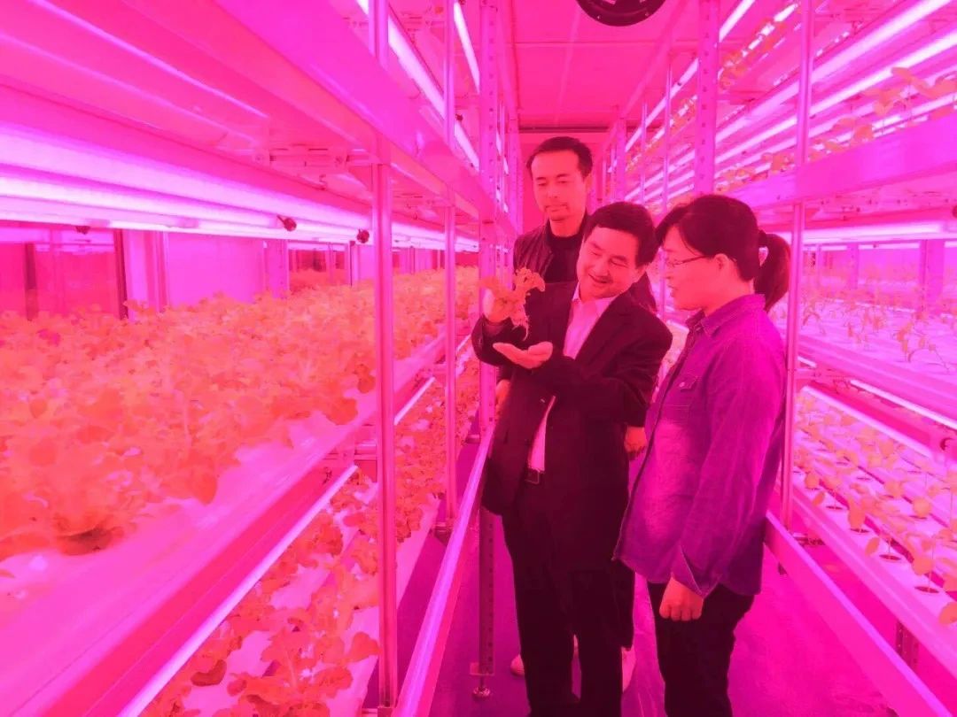 微信图片_20240626145331.jpg
